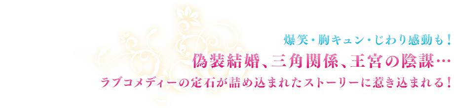 爆笑・胸キュン・じわり感動も！偽装結婚、三角関係、王宮の陰謀…ラブコメディーの定石が詰め込まれたストーリーに惹き込まれる！